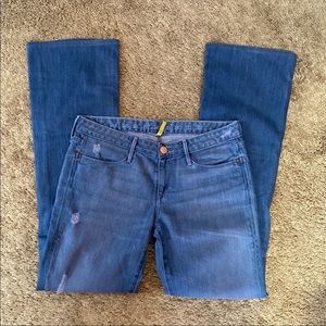 Earnest Sewn Y2K Low Rise Flare Blue Ali Byrdie Jeans